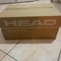 Cartone palle HEAD TOUR XT