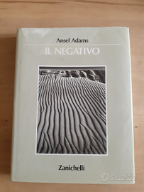 Ansel Adams IL NEGATIVO