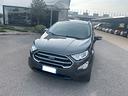 ford-ecosport-1-0-ecoboost-125-cv-start-stop-busin