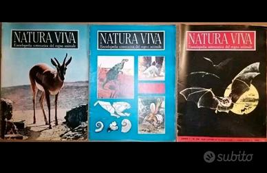 Enciclopedia Sistematica Del Regno Animale 