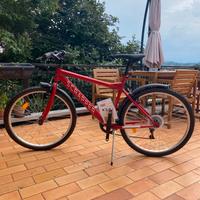 Mountain bike uomo