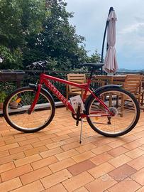 Mountain bike uomo