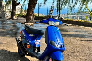 zip fast rider