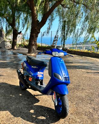 zip fast rider