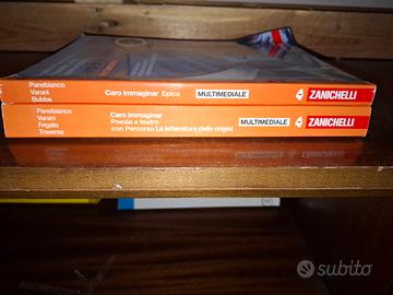 Caro immaginar, zanichelli