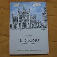 PAOLO TIETO IL Duomo Di Piove Di Sacco