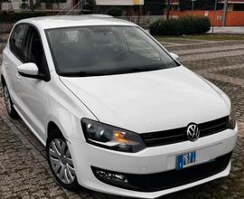 Polo neopatentati