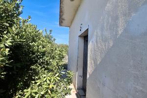 Vendita terreno Agricolo