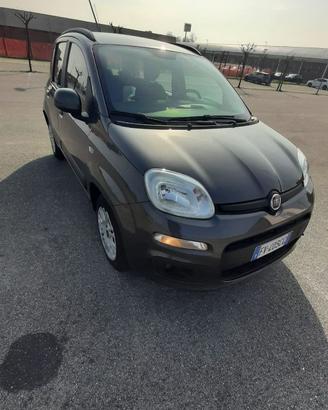 Fiat Panda 1.2 benzina