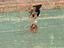 Immagine 3