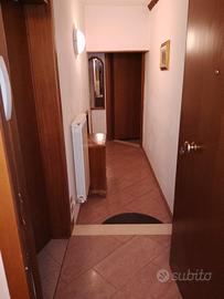 camera/posto letto studentesse centro modena