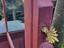 Immagine 6