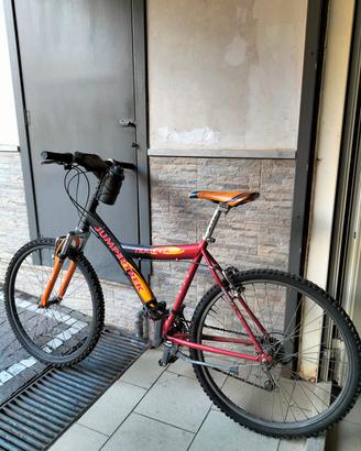 Bici unisex 