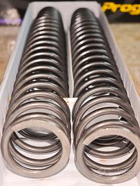 Molle DUCATI multistrada 1200 10'-14