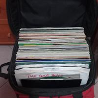 lotto dischi in vinile
