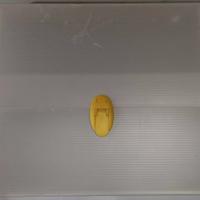 Cartelletta (valigetta con maniglia porta cose) pe