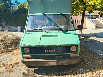 Iveco Daily 35-8 Cassone Coibentato