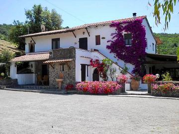 Immobile di 223 m² con più di 5 locali a Portoferr