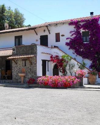 Immobile di 223 m² con più di 5 locali a Portoferr