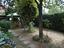 Immagine 19