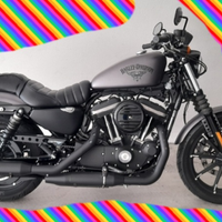 Harley-Davidson Sportster 883 Iron
