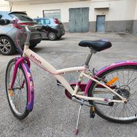 mountain-bike 