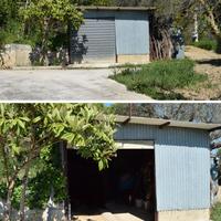 Terreno agricolo 5000 MQ con uliveto e prefabbrica