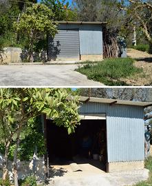 Terreno agricolo 5000 MQ con uliveto e prefabbrica