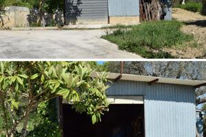 Terreno agricolo 5000 MQ con uliveto e prefabbrica