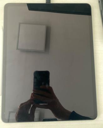 iPad Pro 12.9 (2020) 256 gb  e accessori