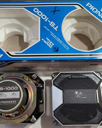 Pioneer ts 1000 altoparlanti