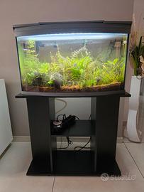 ACQUARIO TETRA