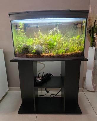 ACQUARIO TETRA