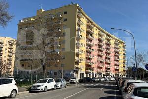 Appartamento Roma [Cod. rif 3298508VRG]