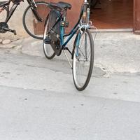  bicicletta  da donna 