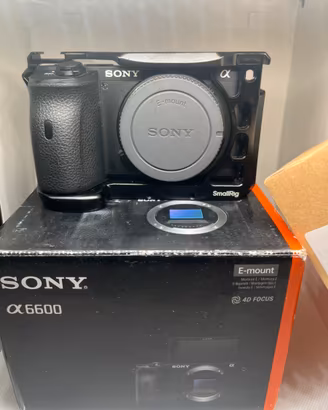 Sony a6600 - mirrorless