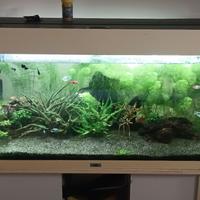 Acquario Juwel Rio 180 completo