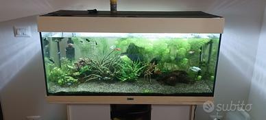 Acquario Juwel Rio 180 completo