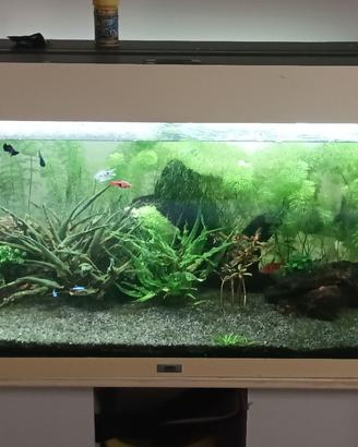 Acquario Juwel Rio 180 completo