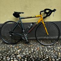 Bici corsa giant