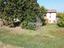 Immagine 7