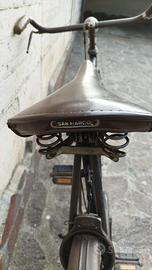Bici Wolsit