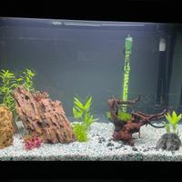 Acquario Askoll Pure XL HC Led Nero