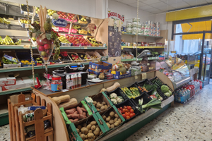 Attività Alimentari Frutta e Verdura