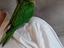 Immagine 4