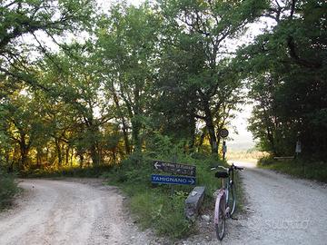 Bici e catena