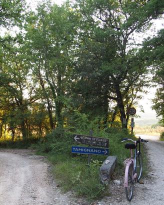 Bici e catena