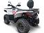 Immagine 17