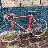 bici eroica Eddy merckx