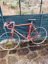 bici eroica Eddy merckx